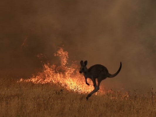 Australian Bushfires – Summary of initiatives to help individuals affected